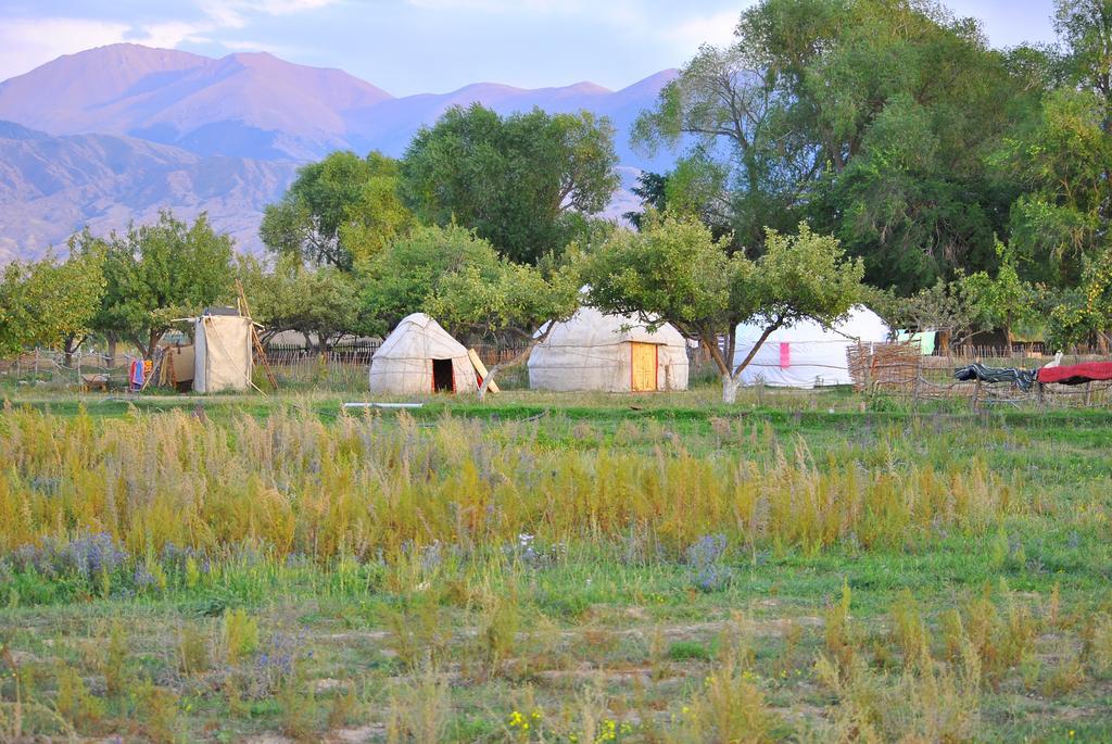 Jurten Camp Almaluu Tong Exterior foto