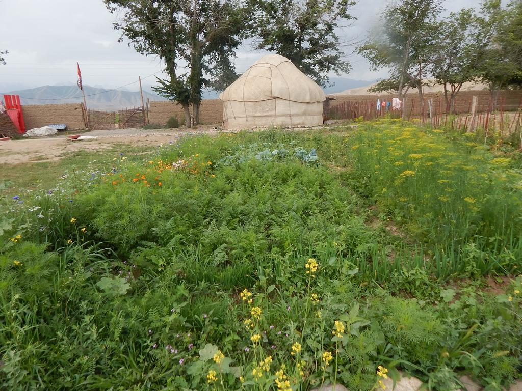 Jurten Camp Almaluu Tong Exterior foto